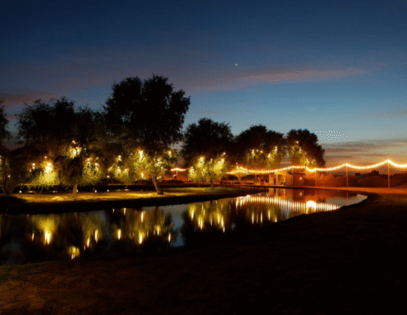 Dubai: Al Marmoom Oasis Camp Experience with Bedouin Dinner