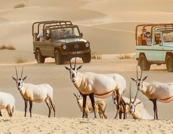 Dubai: Vintage G-Class Evening Heritage Safari at Al Marmoom